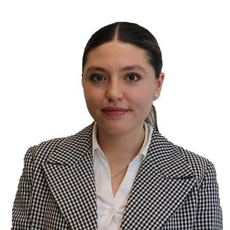 KAMILA MERCENARIO